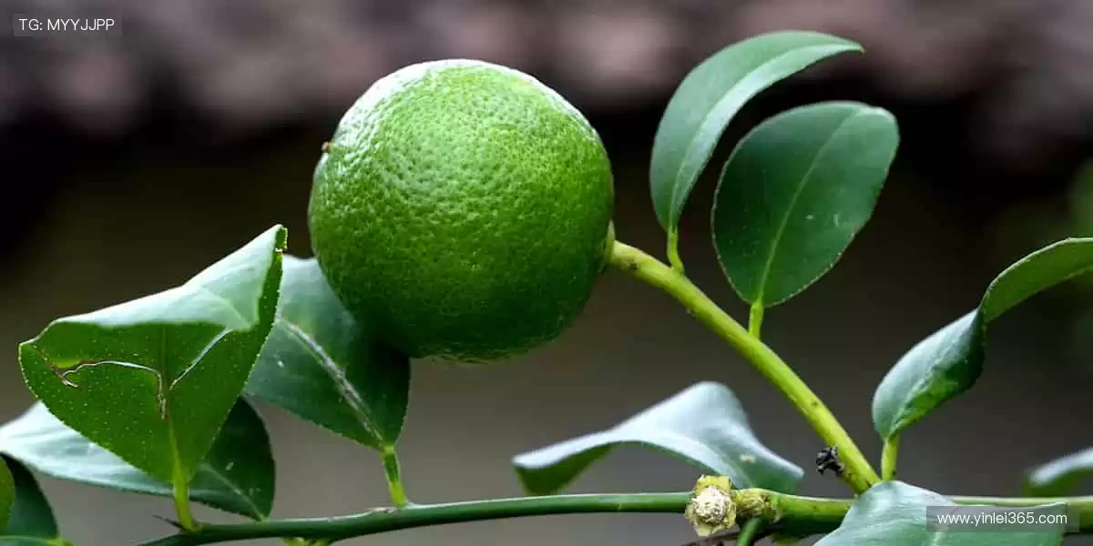 珍藏热爱,从这里开始!🎁🌟